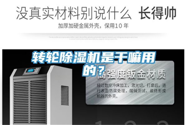 轉(zhuǎn)輪除濕機是干嘛用的？