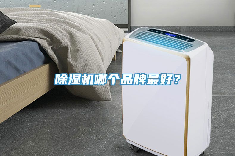 除濕機哪個品牌最好？