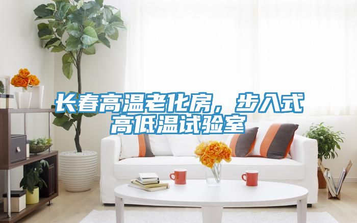 長春高溫老化房，步入式高低溫試驗室