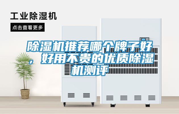 除濕機(jī)推薦哪個牌子好，好用不貴的優(yōu)質(zhì)除濕機(jī)測評