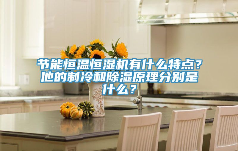 節(jié)能恒溫恒濕機(jī)有什么特點(diǎn)？他的制冷和除濕原理分別是什么？