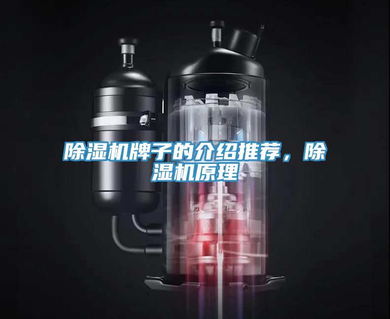 除濕機(jī)牌子的介紹推薦，除濕機(jī)原理