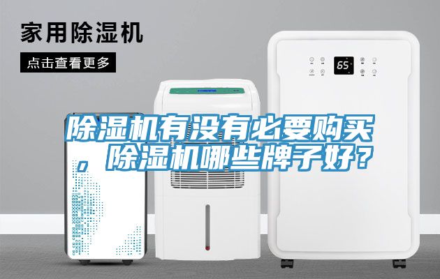 除濕機(jī)有沒(méi)有必要購(gòu)買(mǎi)，除濕機(jī)哪些牌子好？