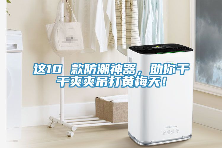 這10 款防潮神器，助你干干爽爽吊打黃梅天！