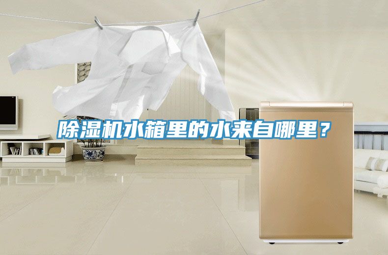 除濕機水箱里的水來自哪里？