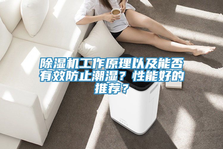 除濕機(jī)工作原理以及能否有效防止潮濕？性能好的推薦？
