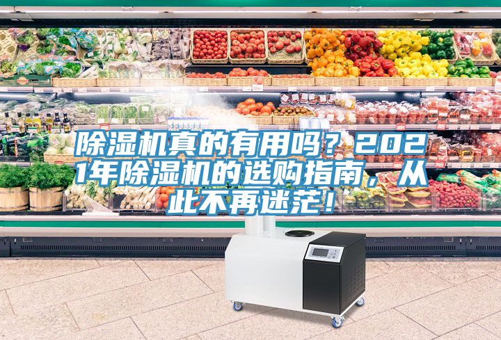 除濕機真的有用嗎？2021年除濕機的選購指南，從此不再迷茫！