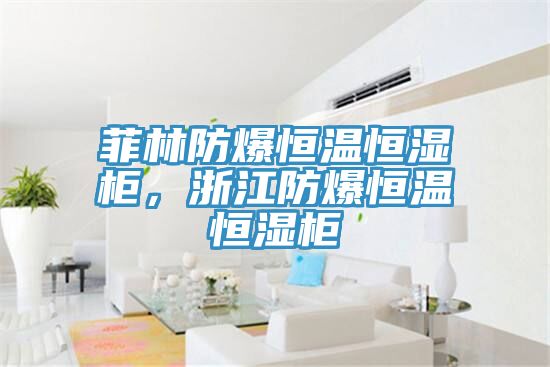 菲林防爆恒溫恒濕柜，浙江防爆恒溫恒濕柜