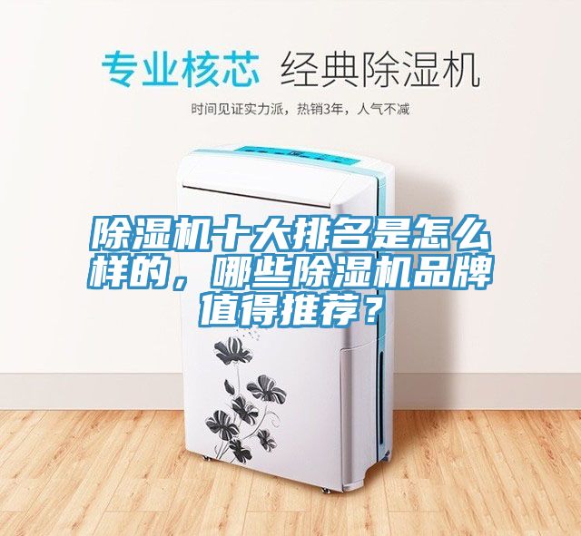 除濕機十大排名是怎么樣的，哪些除濕機品牌值得推薦？