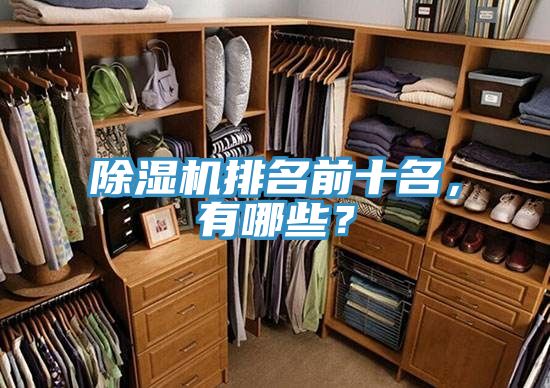 除濕機(jī)排名前十名，有哪些？