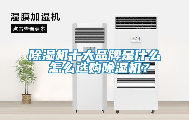 除濕機十大品牌是什么 怎么選購除濕機？