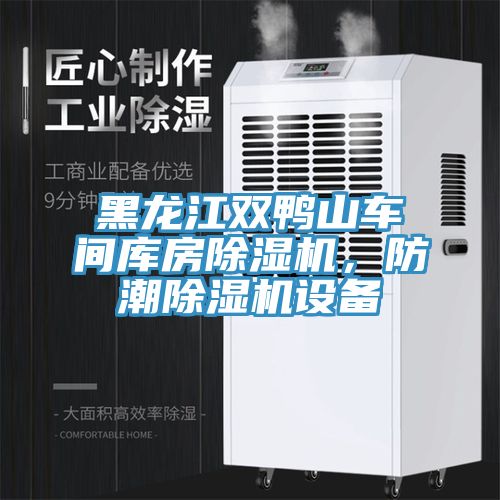 黑龍江雙鴨山車間庫(kù)房除濕機(jī)，防潮除濕機(jī)設(shè)備