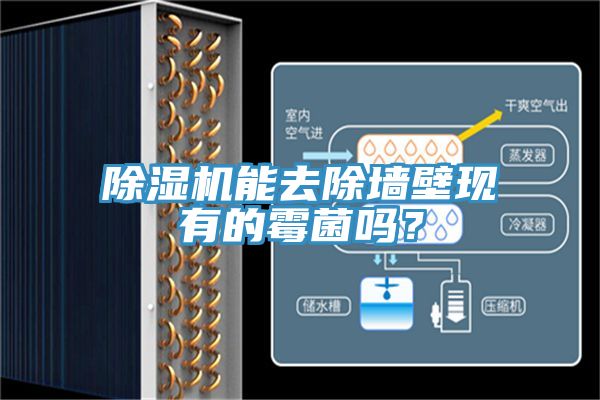 除濕機(jī)能去除墻壁現(xiàn)有的霉菌嗎？