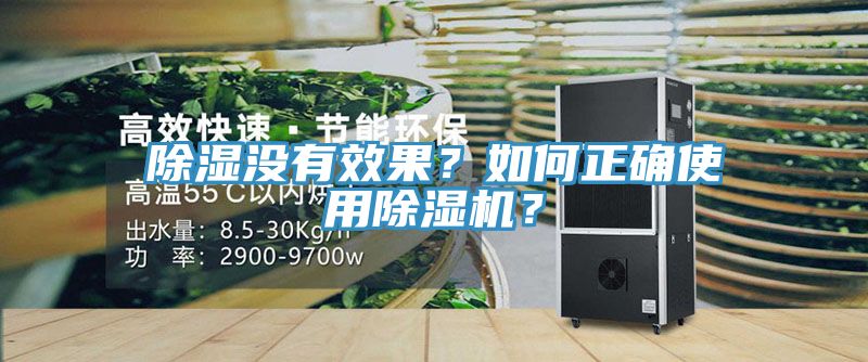 除濕沒有效果？如何正確使用除濕機？
