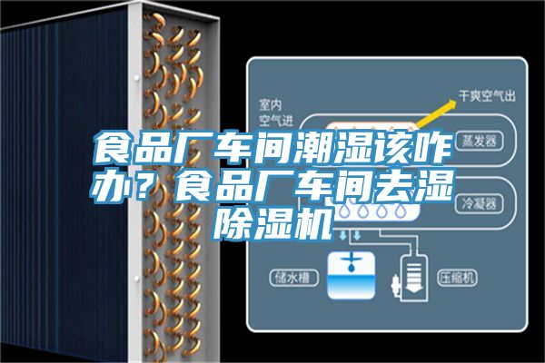 食品廠車間潮濕該咋辦？食品廠車間去濕除濕機(jī)