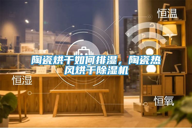 陶瓷烘干如何排濕，陶瓷熱風(fēng)烘干除濕機