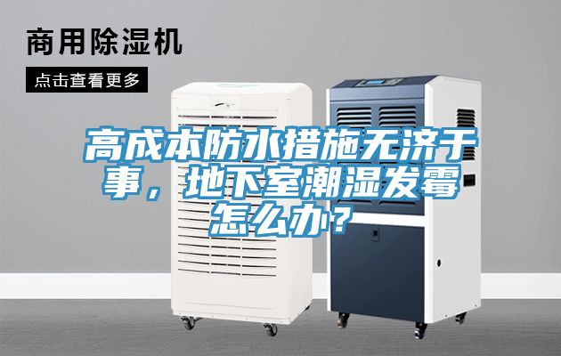 高成本防水措施無濟于事，地下室潮濕發(fā)霉怎么辦？