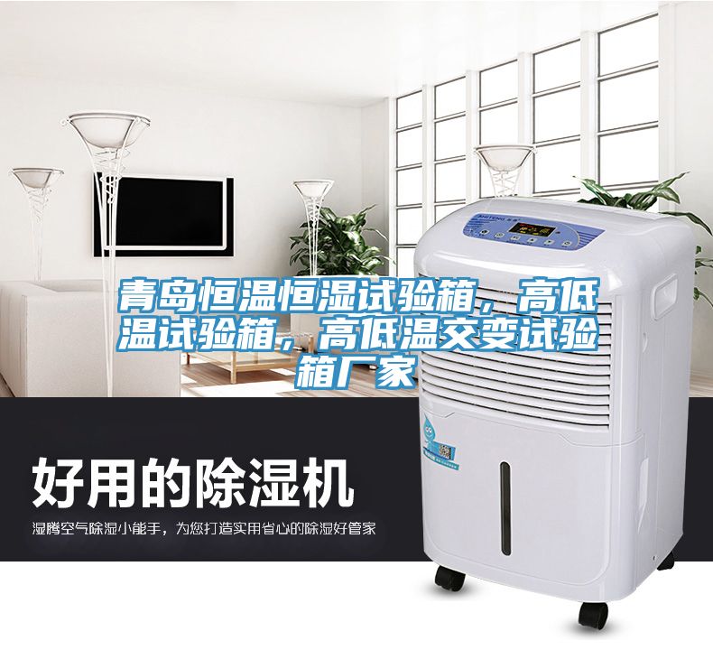 青島恒溫恒濕試驗箱，高低溫試驗箱，高低溫交變試驗箱廠家