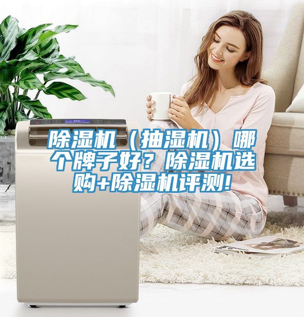 除濕機（抽濕機）哪個牌子好？除濕機選購+除濕機評測!