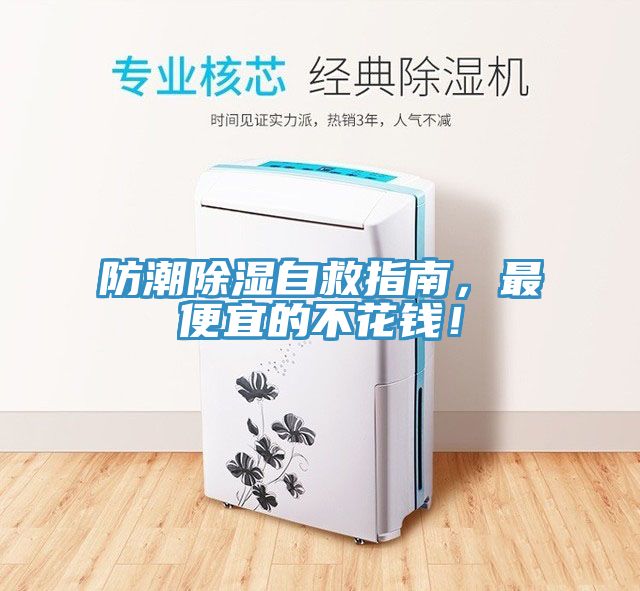 防潮除濕自救指南，最便宜的不花錢！