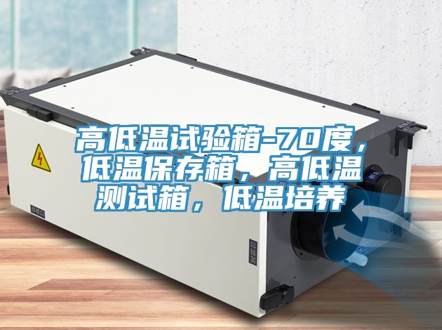 高低溫試驗箱-70度，低溫保存箱，高低溫測試箱，低溫培養(yǎng)