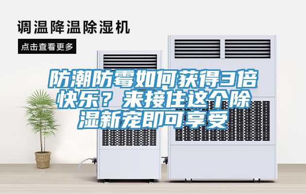 防潮防霉如何獲得3倍快樂？來接住這個(gè)除濕新寵即可享受