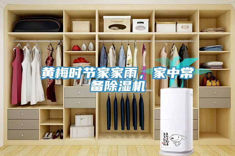黃梅時(shí)節(jié)家家雨，家中常備除濕機(jī)