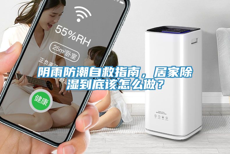 陰雨防潮自救指南，居家除濕到底該怎么做？