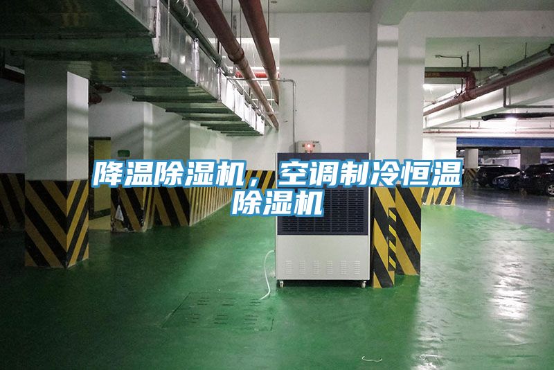 降溫除濕機，空調(diào)制冷恒溫除濕機