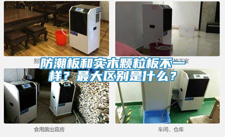 防潮板和實(shí)木顆粒板不一樣？最大區(qū)別是什么？