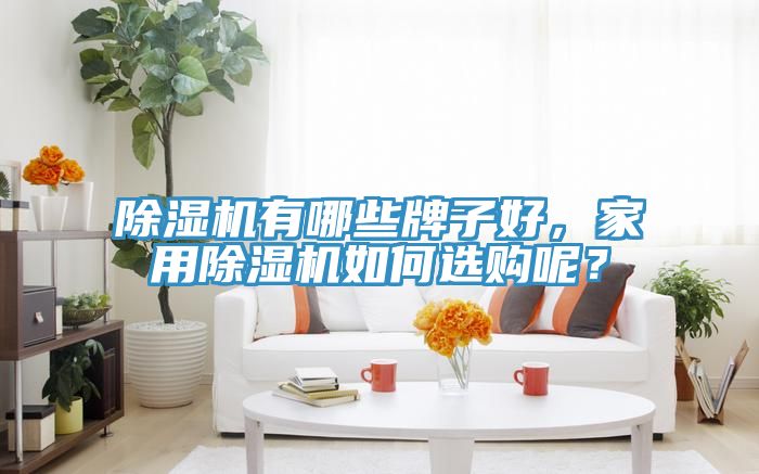 除濕機有哪些牌子好，家用除濕機如何選購呢？