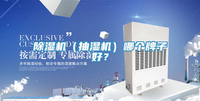 除濕機（抽濕機）哪個牌子好？