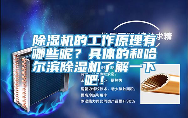 除濕機的工作原理有哪些呢？具體的和哈爾濱除濕機了解一下吧！