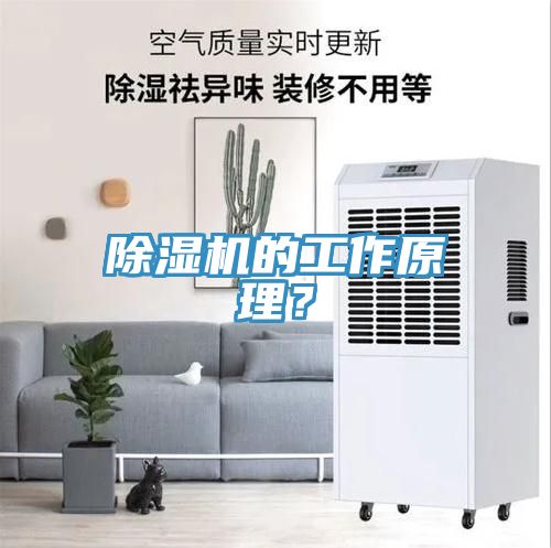 除濕機的工作原理？