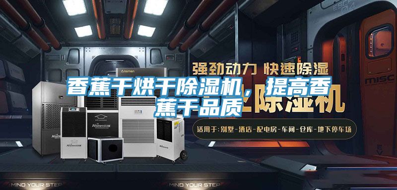 香蕉干烘干除濕機(jī)，提高香蕉干品質(zhì)