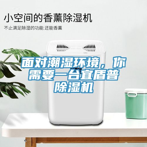 面對(duì)潮濕環(huán)境，你需要一臺(tái)宜盾普除濕機(jī)