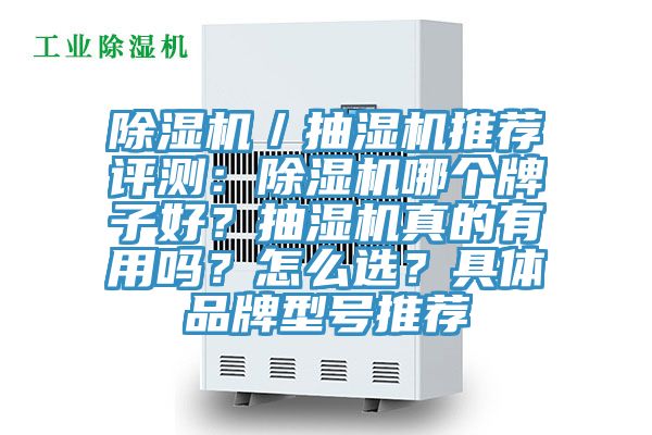 除濕機／抽濕機推薦評測：除濕機哪個牌子好？抽濕機真的有用嗎？怎么選？具體品牌型號推薦