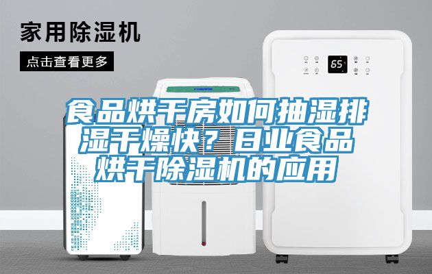 食品烘干房如何抽濕排濕干燥快？日業(yè)食品烘干除濕機(jī)的應(yīng)用