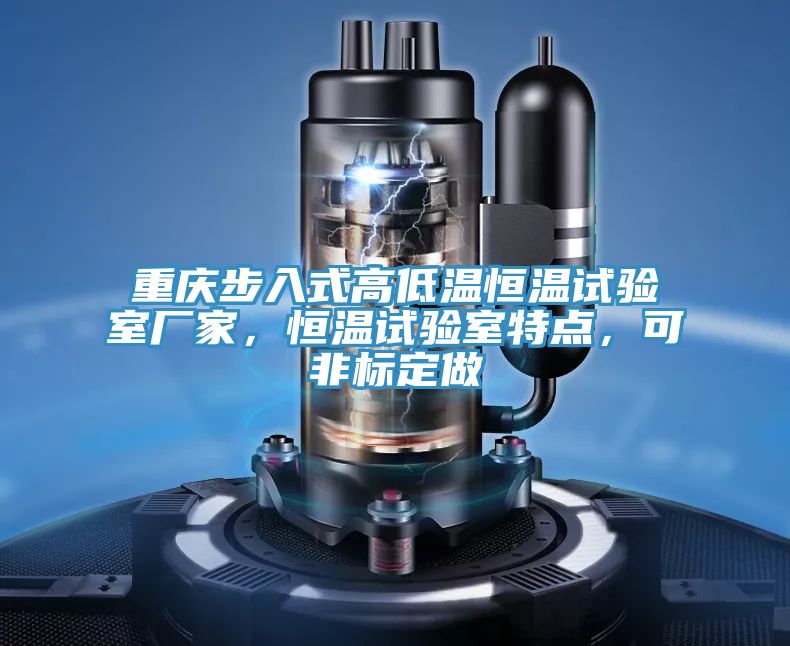 重慶步入式高低溫恒溫試驗室廠家，恒溫試驗室特點，可非標(biāo)定做