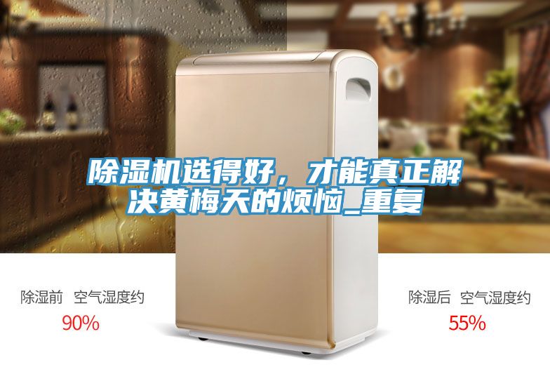 除濕機選得好，才能真正解決黃梅天的煩惱_重復(fù)