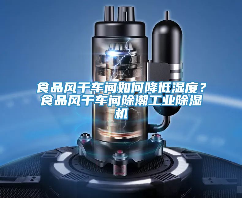 食品風(fēng)干車間如何降低濕度？食品風(fēng)干車間除潮工業(yè)除濕機(jī)