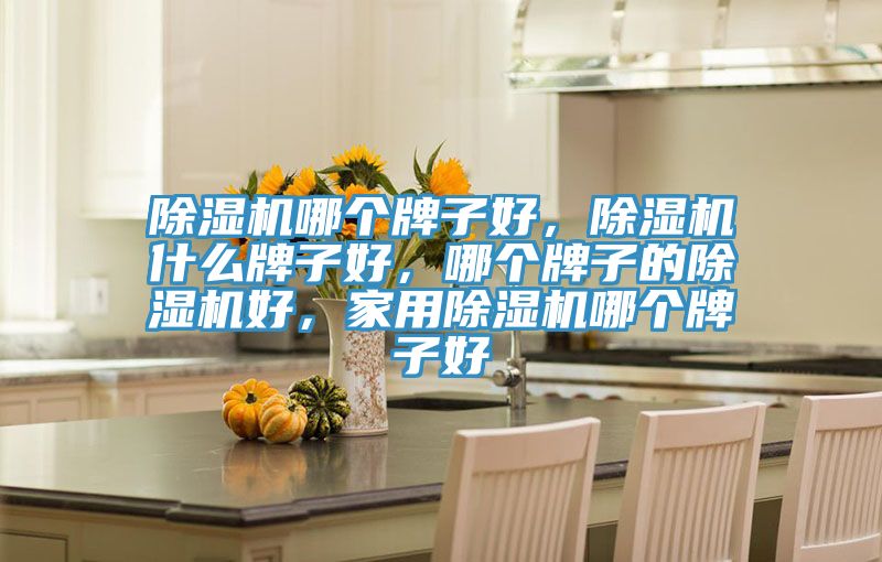除濕機哪個牌子好，除濕機什么牌子好，哪個牌子的除濕機好，家用除濕機哪個牌子好