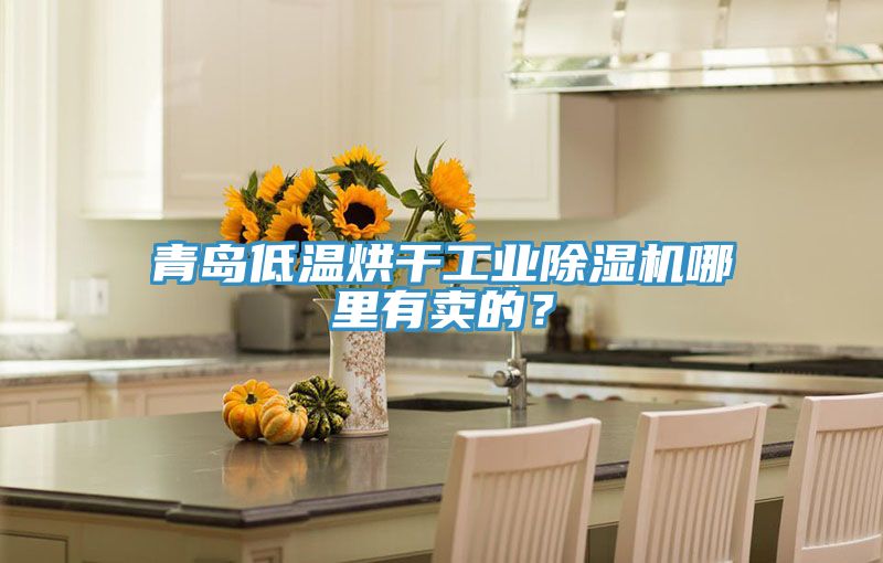 青島低溫烘干工業(yè)除濕機(jī)哪里有賣的？