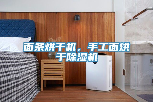 面條烘干機(jī)，手工面烘干除濕機(jī)