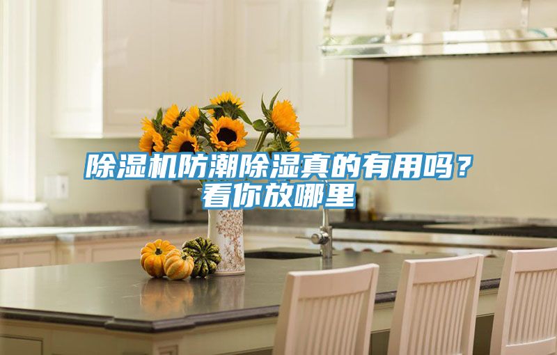 除濕機防潮除濕真的有用嗎？看你放哪里