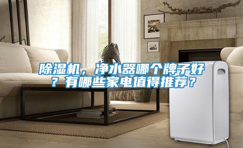 除濕機(jī)，凈水器哪個(gè)牌子好？有哪些家電值得推薦？