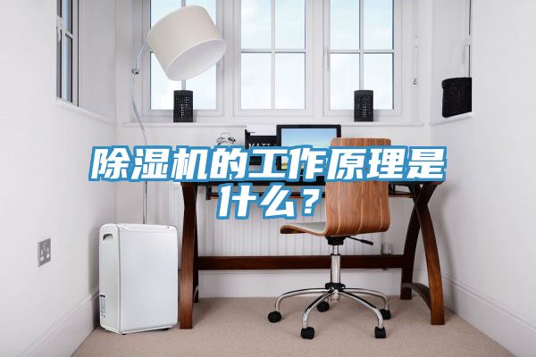除濕機的工作原理是什么？