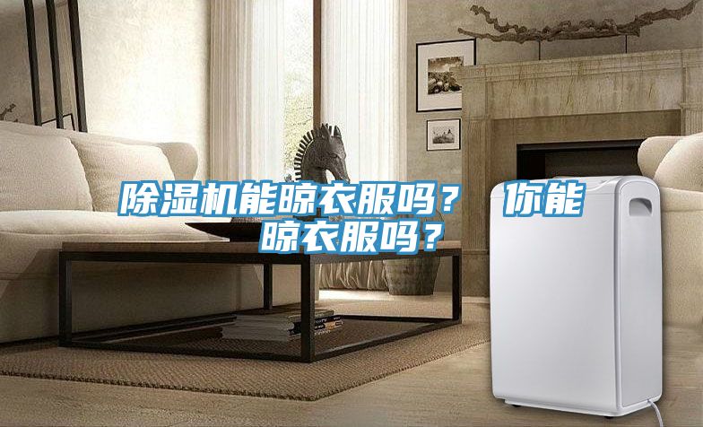 除濕機(jī)能晾衣服嗎？ 你能晾衣服嗎？