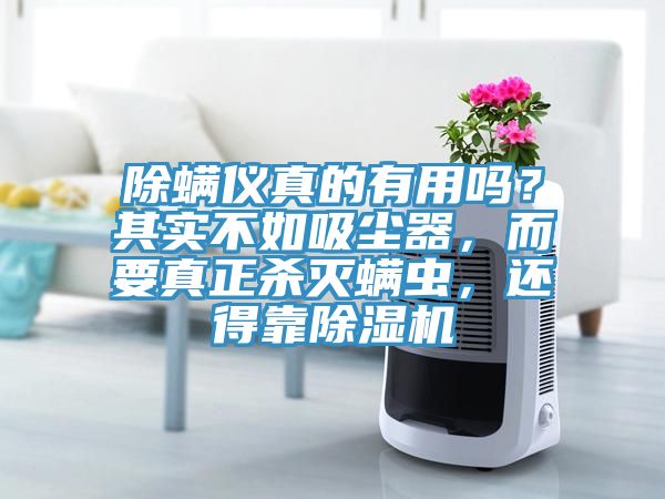 除螨儀真的有用嗎？其實(shí)不如吸塵器，而要真正殺滅螨蟲，還得靠除濕機(jī)