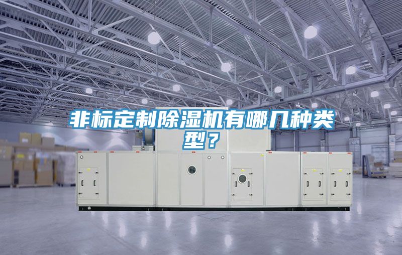 非標(biāo)定制除濕機(jī)有哪幾種類型？